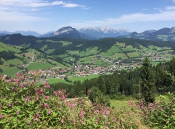 Bezienswaardig in Oostenrijk