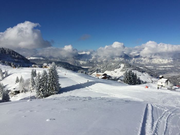 AlpenTraum Niederau Markbachjoch Niederau Tirol1000