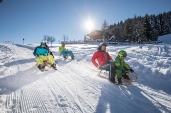 Tobogganing Wildschönau